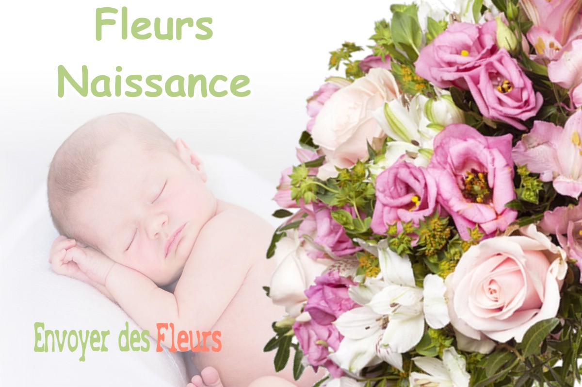 lIVRAISON FLEURS NAISSANCE à PEILLE